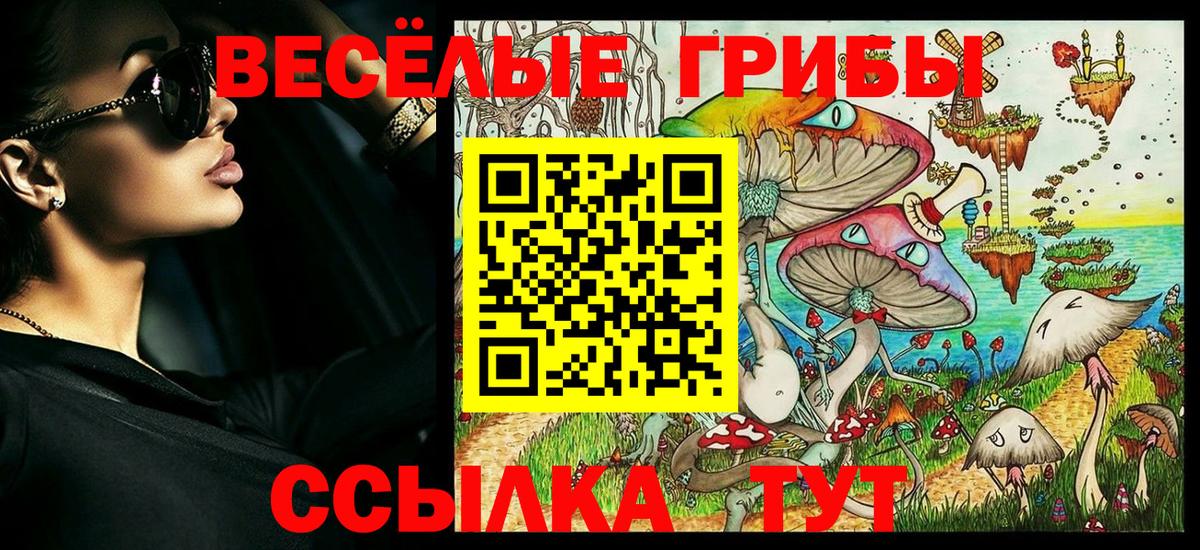 Сердобск  Псилоцибиновые грибы Psilocybe  Вход с VPN 